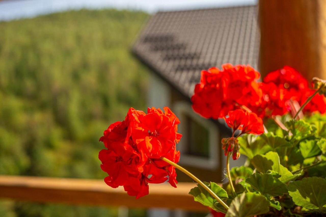 Konopka Guest House Bukovel Exteriör bild