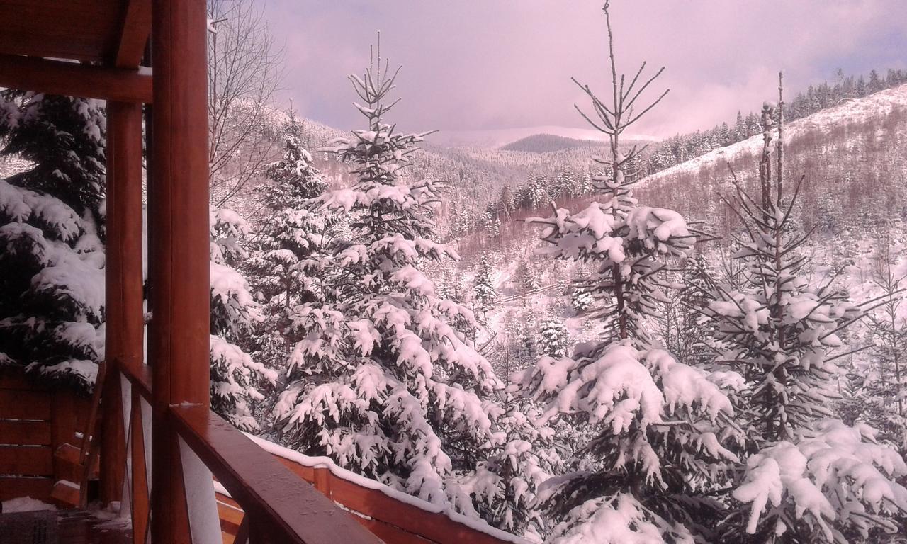 Konopka Guest House Bukovel Exteriör bild
